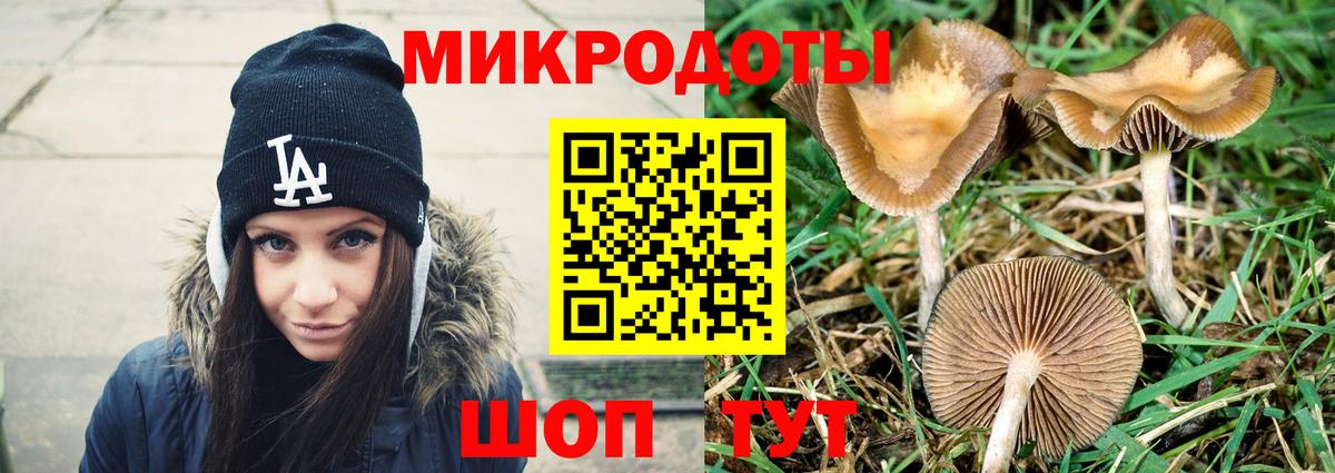 Галлюциногенные грибы GOLDEN TEACHER Черногорск