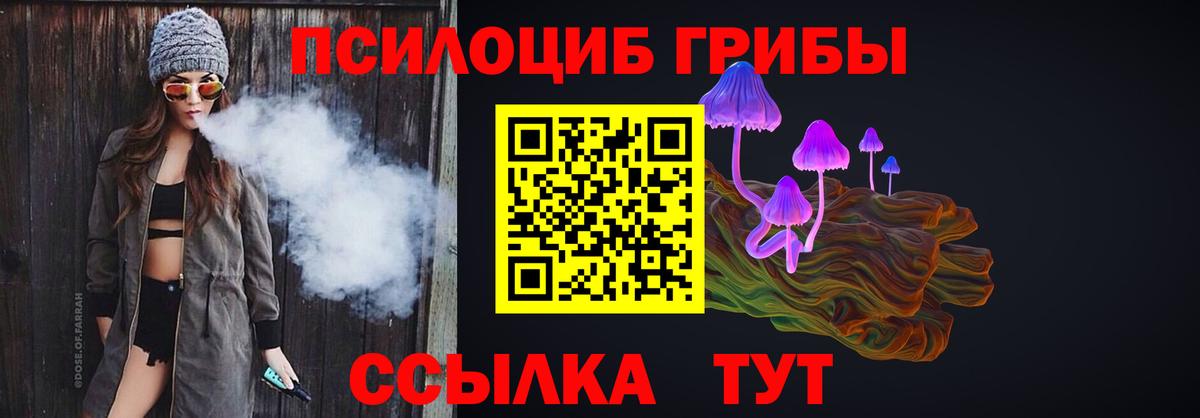 Псилоцибиновые грибы Psilocybe  Вход с VPN  Черногорск 